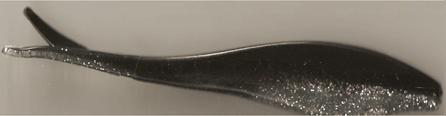JERK SHAD- SILVER FLAKE BLACK BACK