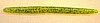 (#50A) 5" TRICK STICK - CHARTREUSE PEPPER - 10 PER BAG